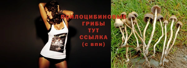 винт Баксан